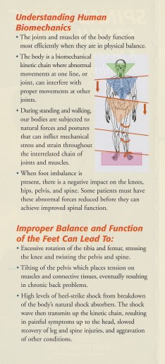 Understanding Human Biomechanics - Dr Sarah Deam Presentation