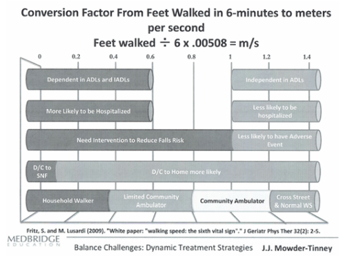 Gait Speed Test