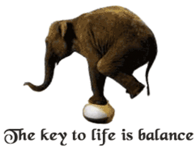 The Key To Life Is Balance