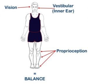 Balance sensory integration