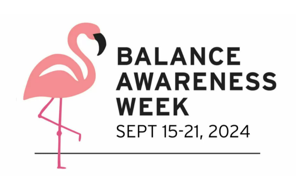 Balance Awareness Week flamingo 2024